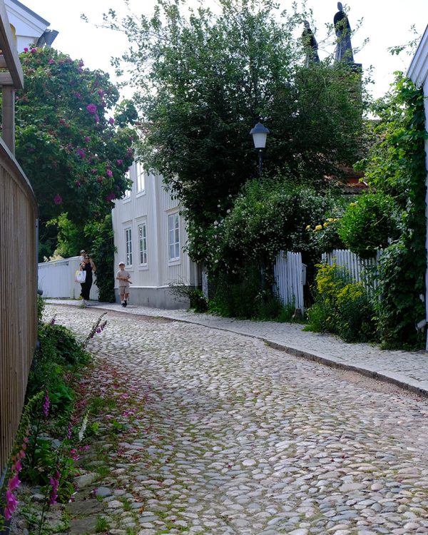 Gula trähus i Gamla stan i Kalmar, kullerstensgata och en röd ros i förgrunden.