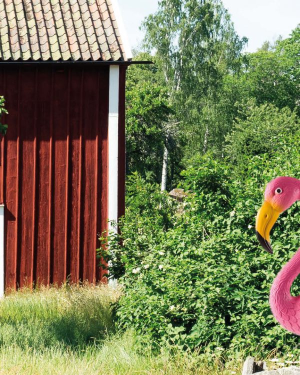 Flamingo i trädgård.