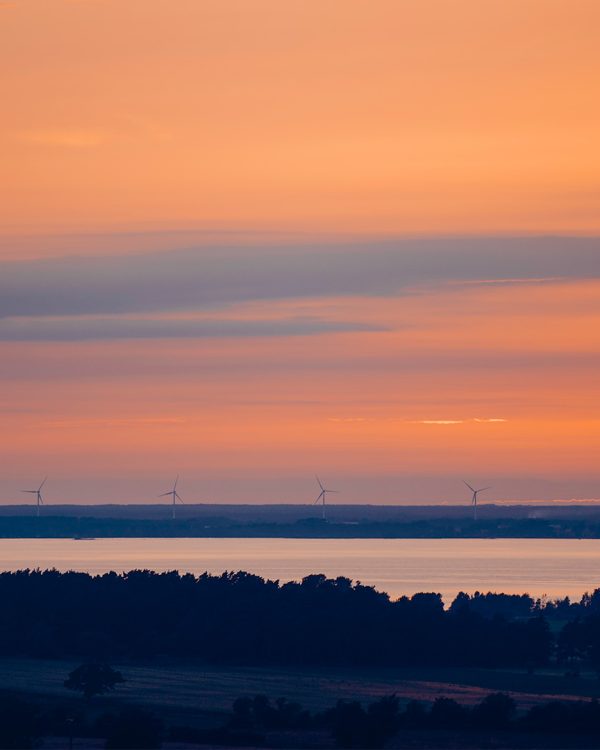 Solnedgång över ett stilla Kalmarsund med mjuka orange och rosa toner på himlen, mörka siluetter av träd i förgrunden och flera vindkraftverk synliga långt bort vid horisonten.